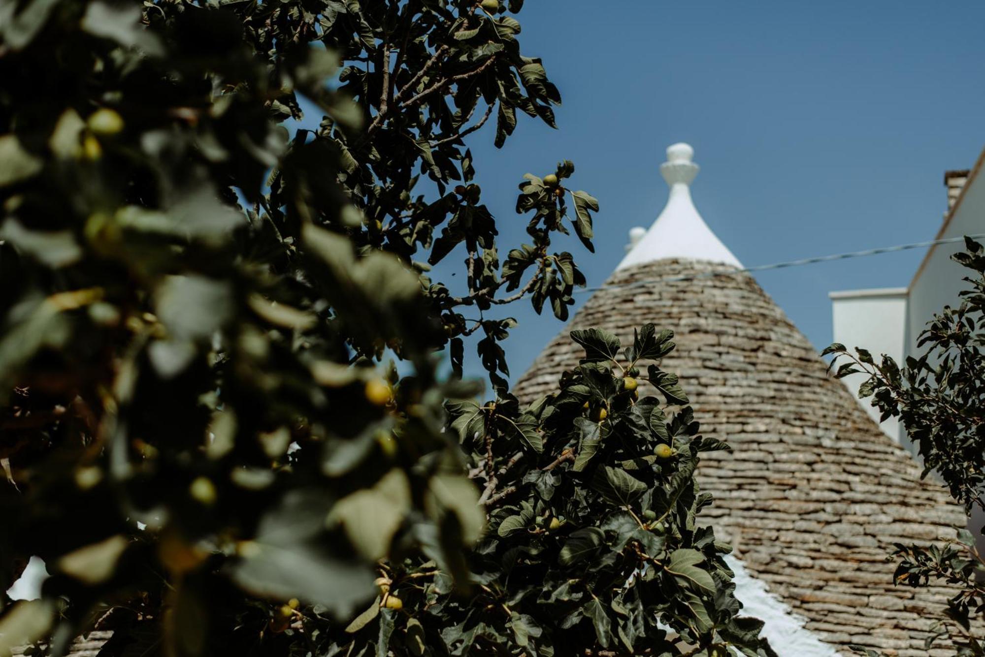 River Trulli Oasi Di Pace In Sito Unesco Alberobello Exterior foto